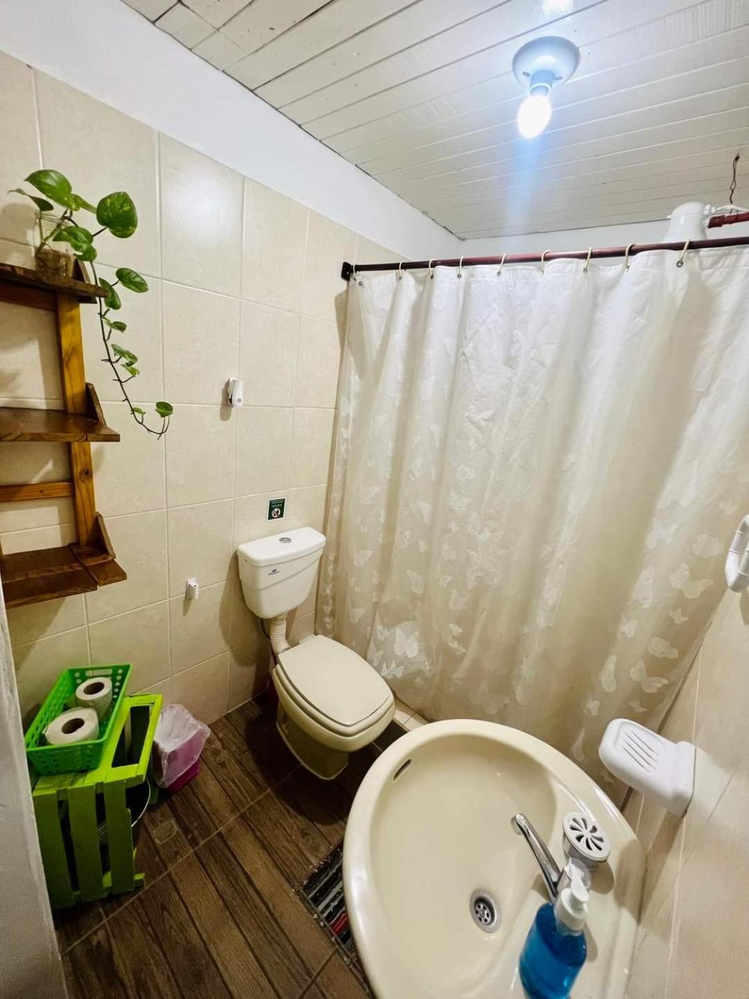 פוארטו איגואסו Benteveo Hostel Iguazu מראה חיצוני תמונה