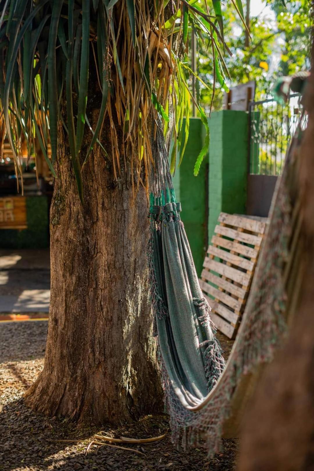 פוארטו איגואסו Benteveo Hostel Iguazu מראה חיצוני תמונה